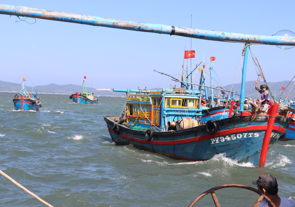 Các thuyền chở đầy ắp ruốc nối đuôi nhau cập cảng Dân Phước, phường Xuân Thành, thị xã Sông Cầu, Phú Yên. (Ảnh: Phạm Cường/TTXVN)