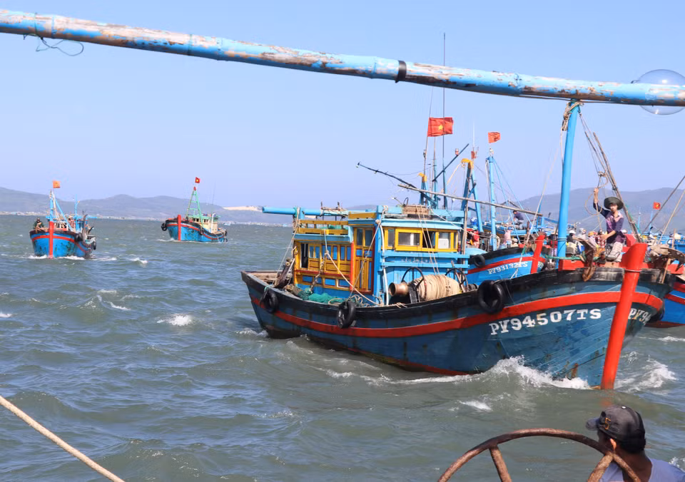 Các thuyền chở đầy ắp ruốc nối đuôi nhau cập cảng Dân Phước, phường Xuân Thành, thị xã Sông Cầu, Phú Yên. (Ảnh: Phạm Cường/TTXVN)