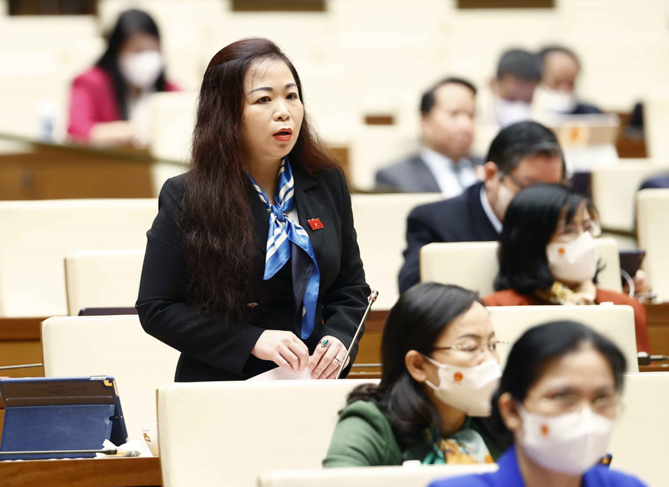 Đại biểu Quốc hội thành phố Hà Nội Vũ Thị Lưu Mai phát biểu ý kiến. (Ảnh: Doãn Tấn/TTXVN)