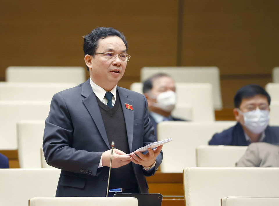 Đại biểu Quốc hội thành phố Hà Nội Hoàng Văn Cường phát biểu ý kiến. (Ảnh: Doãn Tấn/TTXVN)