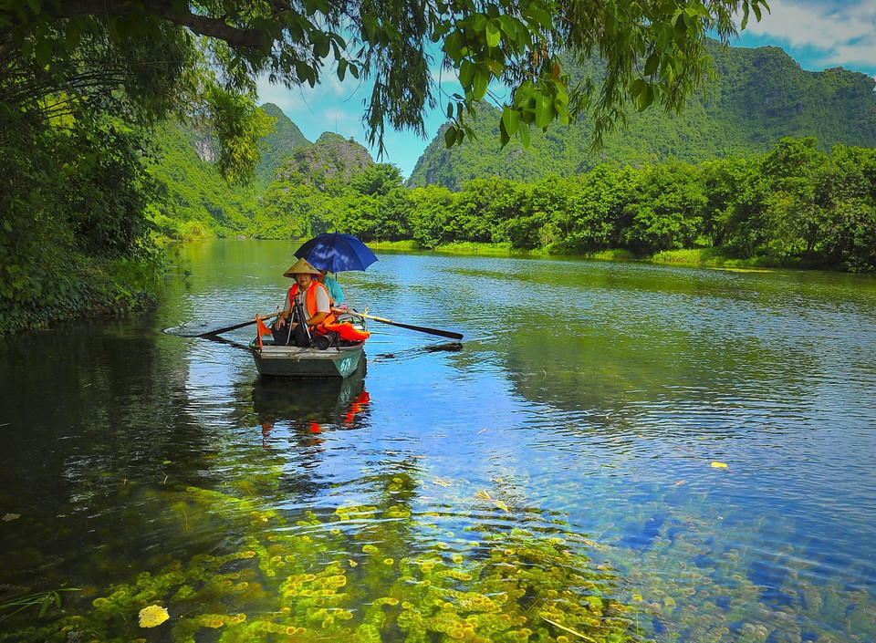 Tràng An mùa thu chìm trong một không gian thanh bình của sắc xanh. (Ảnh: Minh Đức/TTXVN)