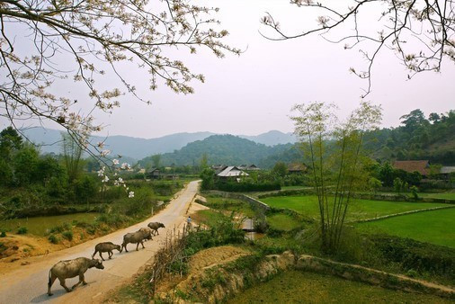 Đường vào Mường Phăng, Điện Biên.( Ảnh: Huy Hùng/TTXVN)