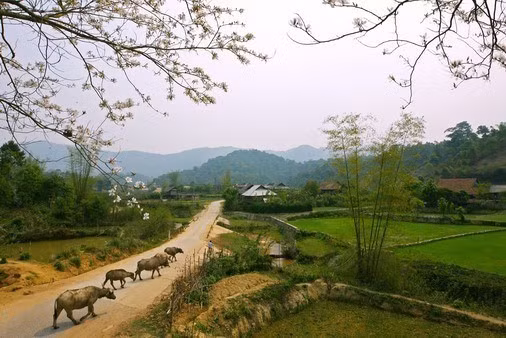 Đường vào Mường Phăng, Điện Biên.( Ảnh: Huy Hùng/TTXVN)