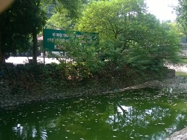 Theo nhận định của đại diện Xí nghiệp thoát nước số 3, nguyên nhân cá chết là do nước ở Hồ Thiền Quang bị ô nhiễm nặng. (Ảnh: Hùng Võ/Vietnam+)