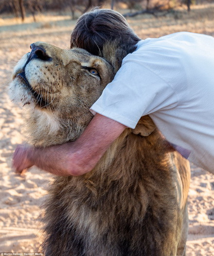 Von Solms thoải mái chơi đùa thậm chí là ngủ cùng Zion. (Nguồn: Barcroft Media)