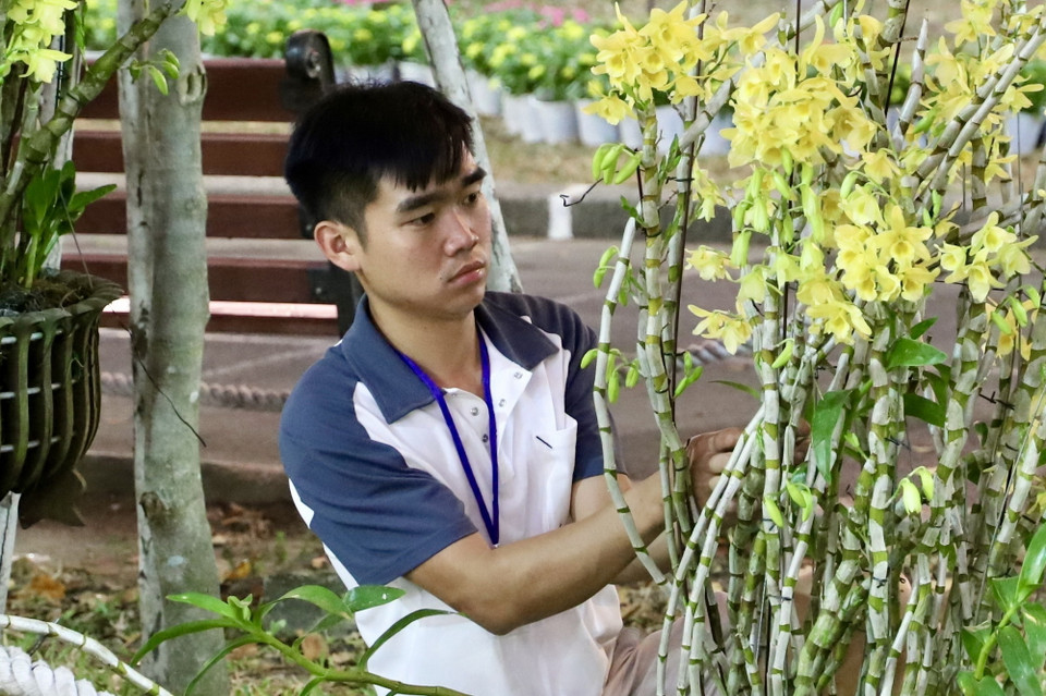 Nghệ nhân đang chăm sóc hoa cảnh được trưng bày tại Hội Hoa Xuân. (Ảnh: Hồng Giang/TTXVN)