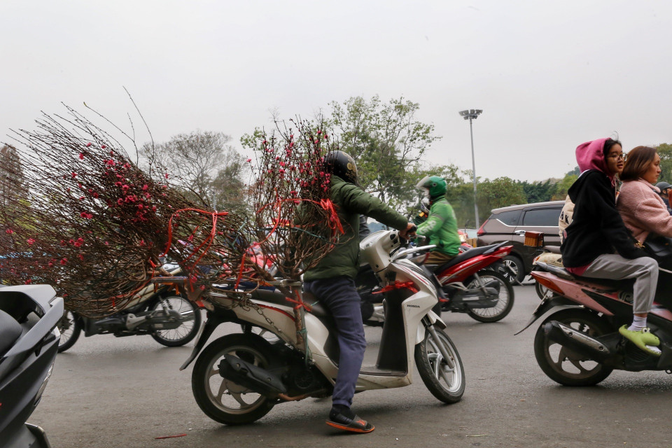 Người dân mua đào để trưng cho Tết Nguyên đán. (Ảnh: Tuấn Đức/TTXVN)