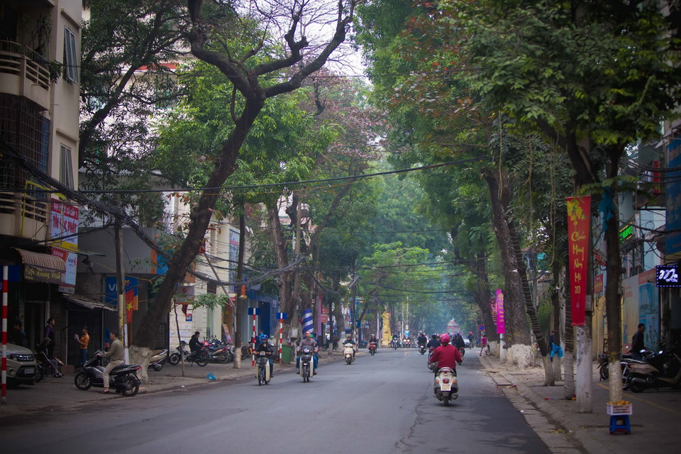 (Ảnh: Trọng Đạt/TTXVN)