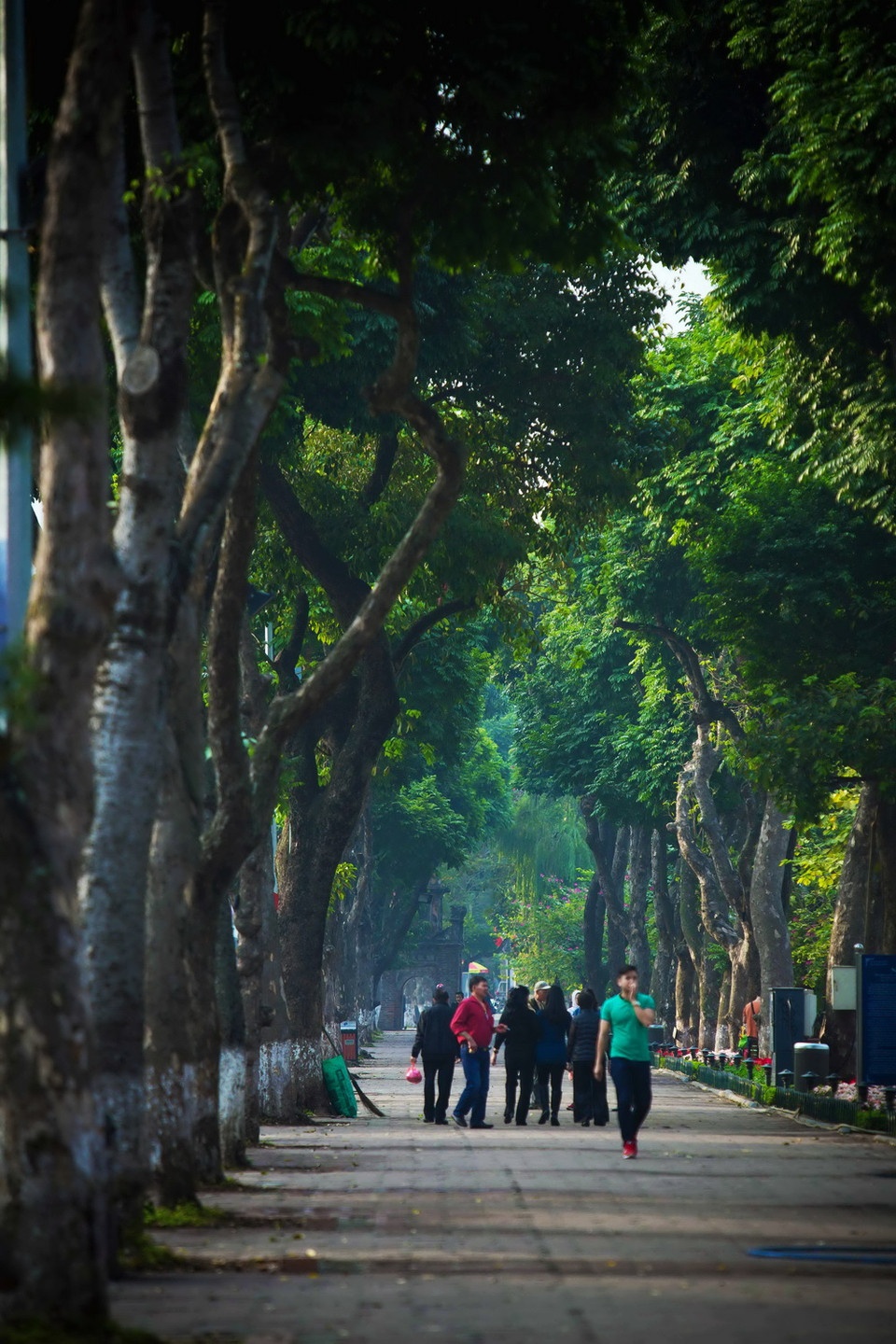 Quanh Hồ Gươm cũng thưa vắng người vãn cảnh hơn. (Ảnh: Trọng Đạt/TTXVN)