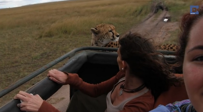 Cả ba đã quyết định chụp ảnh cùng hai chú báo đốm để làm kỷ niệm. (Nguồn: Caters News Agency)