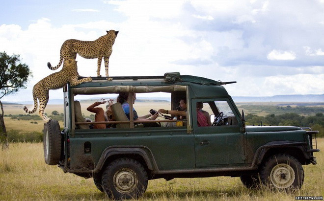 Clara và các bạn của mình không hề sợ hãi mà còn tỏ ra vô cùng thích thú. (Nguồn: Caters News Agency)