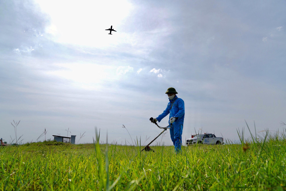 Nhân viên Đội môi trường khu bay sử dụng máy cắt cỏ cầm tay. (Ảnh: Văn phòng NIA)