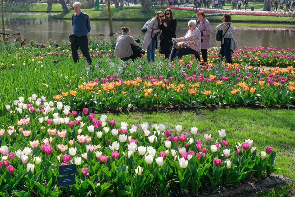 Du khách thăm vườn hoa Keukenhof ở Lisse, Hà Lan, ngày 26/3/2022. (Ảnh: THX/TTXVN)