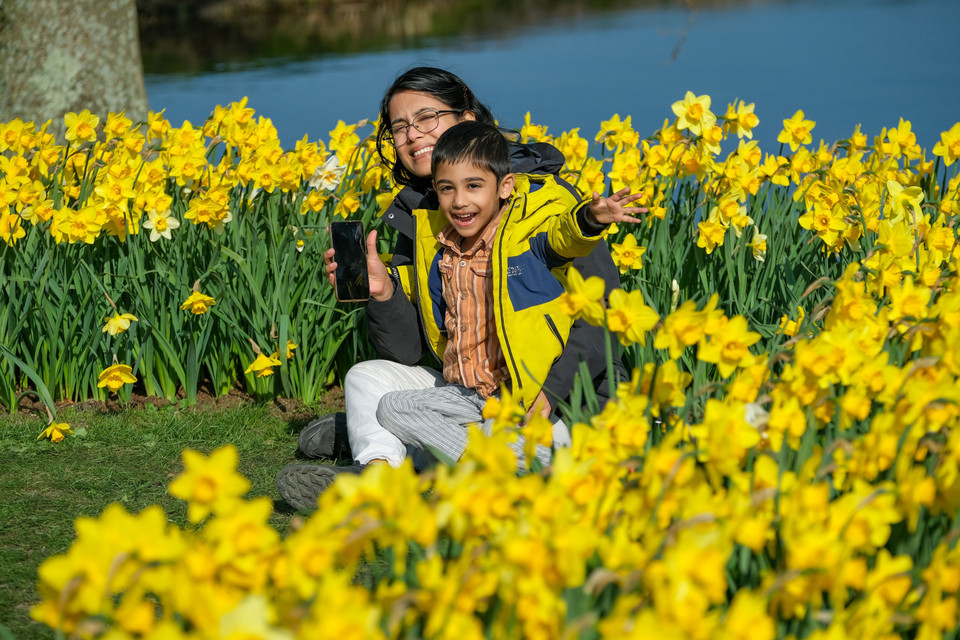 Vườn hoa có lịch sử từ năm 1857 với mục đích ban đầu là khu vườn trang trí cho lâu đài Keukenhof. (Ảnh: THX/TTXVN)