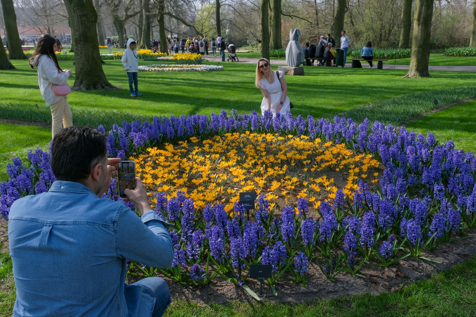 Hàng năm, vào mùa Xuân, xung quanh 15km những đường mòn đi bộ được tô điểm bằng những vạt hoa tulip rực rỡ.(Ảnh: THX/TTXVN)