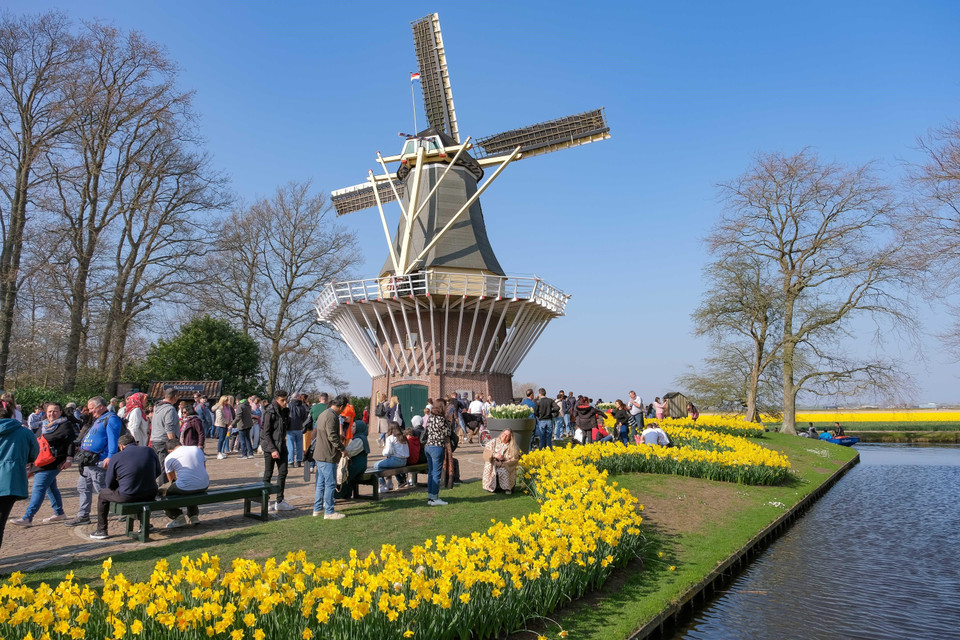 Mỗi năm, hơn 7 triệu củ hoa được trồng trên 32ha của khu vườn. (Ảnh: THX/TTXVN)