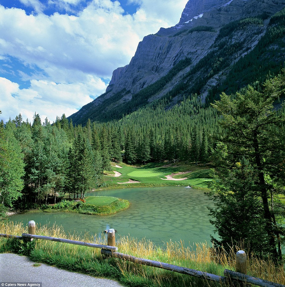 Lỗ số 4, sân golf Banff Springs, Alberta, Canada được bao quanh bởi rặng núi hùng vì và rừng cây xanh ngát.
