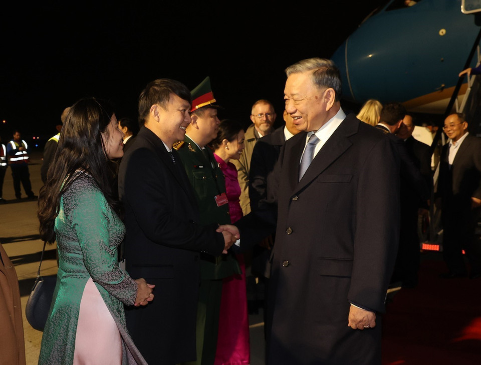 Cán bộ, nhân viên Đại sứ quán Việt Nam tại Ireland đón Tổng Bí thư, Chủ tịch nước Tô Lâm tại sân bay Dublin. (Ảnh: Trí Dũng/TTXVN)