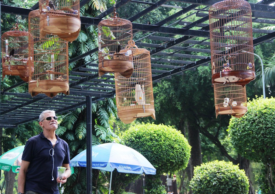 Hầu như khách nước ngoài đến Công viên Tao Đàn cũng bị thu hút bởi những chú chim. (Ảnh: Thanh Tân/TTXVN) 