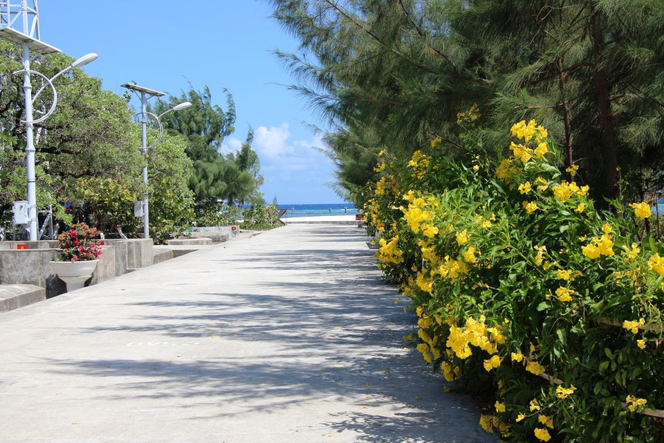 Cây cối xanh tốt, hoa nở đầy sắc màu trên đảo Sinh Tồn Đông. (Ảnh: Hùng Võ/Vietnam+)