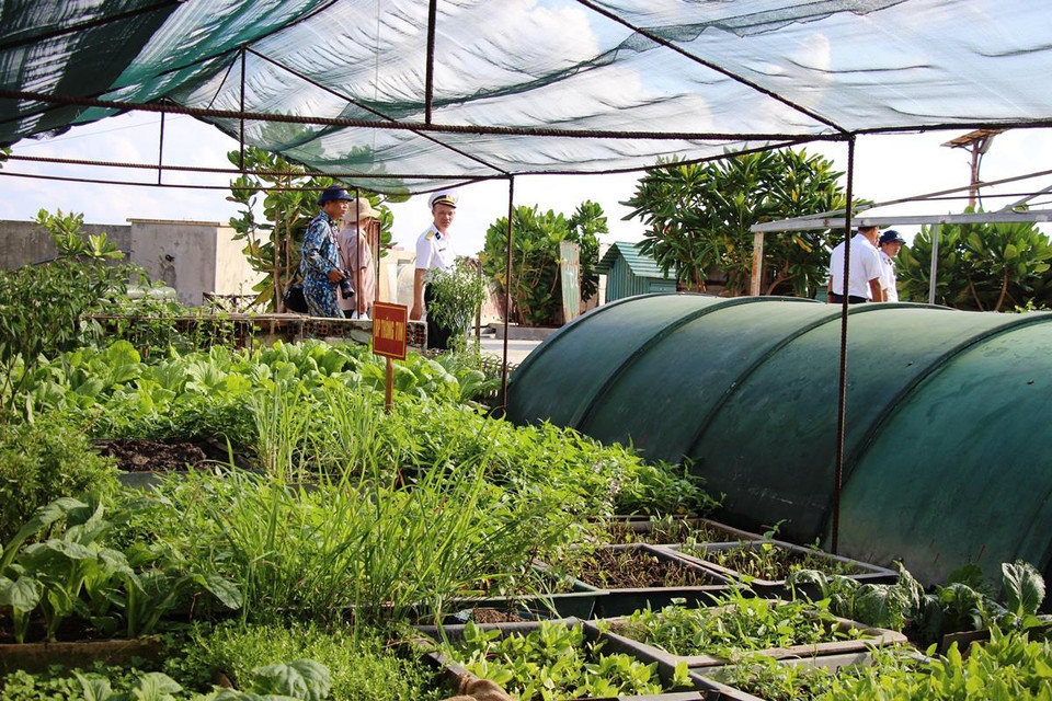 Trên đảo, các chiến sỹ vẫn tăng gia sản xuất, nuôi lợn gà, rau vẫn xanh và hoa vẫn nở trên đá giữa muôn trùng sóng nước. (Ảnh: Hùng Võ/Vietnam+)