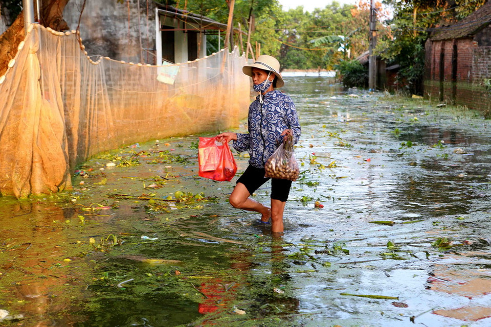 Chương Mỹ được coi là vùng “rốn lũ” của thủ đô Hà Nội.(Ảnh: Thành Đạt/TTXVN)