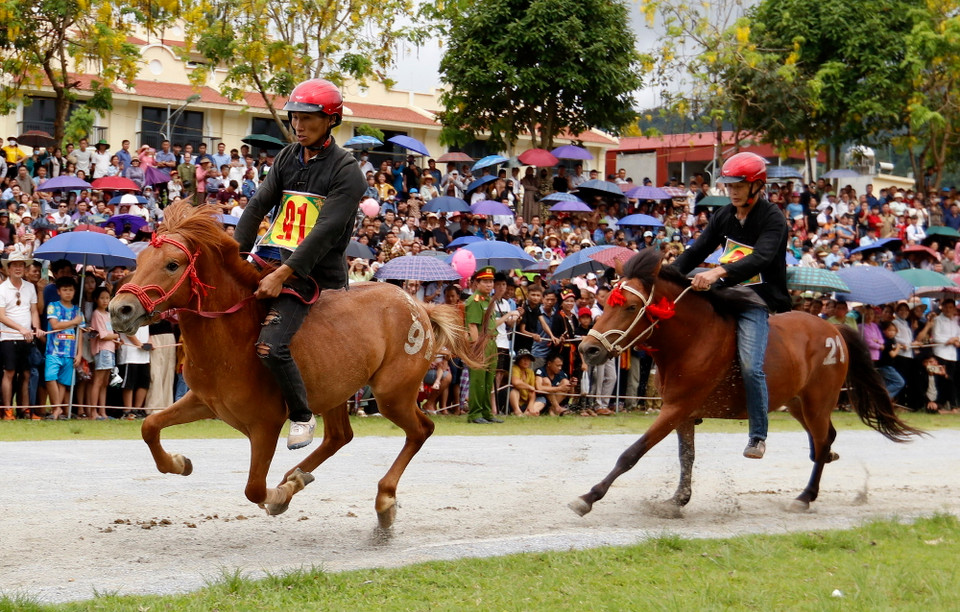 Các kỵ sỹ tranh tài trên đường đua. (Ảnh: Quốc Khánh/TTXVN)