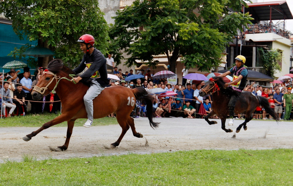 Các kỵ sỹ tranh tài trên đường đua. (Ảnh: Quốc Khánh/TTXVN)