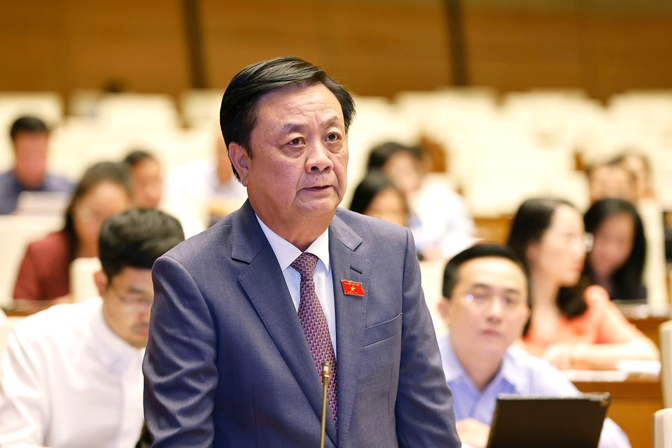 Bộ trưởng Bộ Nông nghiệp và Phát triển Nông thôn Lê Minh Hoan trả lời chất vấn. (Ảnh: Doãn Tấn/TTXVN)