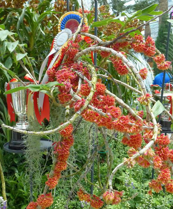 Lễ hội thu hút được rất nhiều du khách. (Ảnh: Kim Yến/Vietnam+)