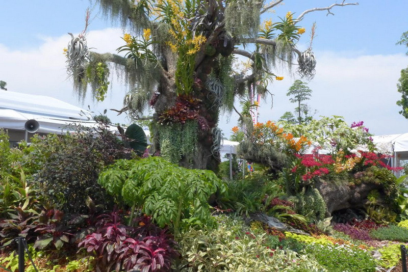 Các khu vườn và hoa được trưng bày tại Lễ hội. (Ảnh: Kim Yến/Vietnam+)