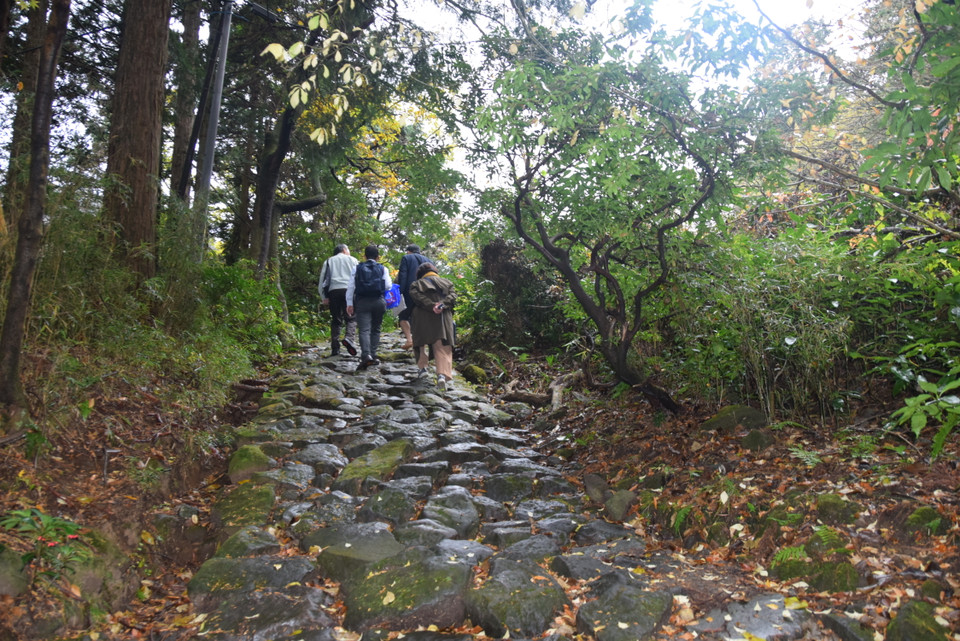 Dốc đá Hakone Hachiri trơn trượt 