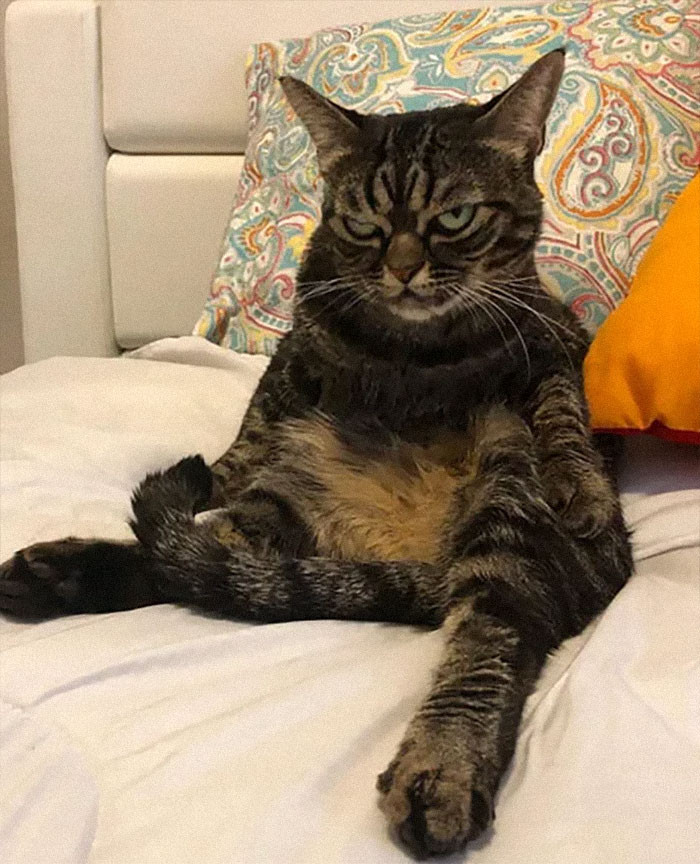 Bà Viktoriia Otdielnova đến từ Ukraine, đã sống tại Mỹ trong vòng 6 năm và là một nhiếp ảnh gia chuyên nghiệp. (Nguồn: Boredpanda)