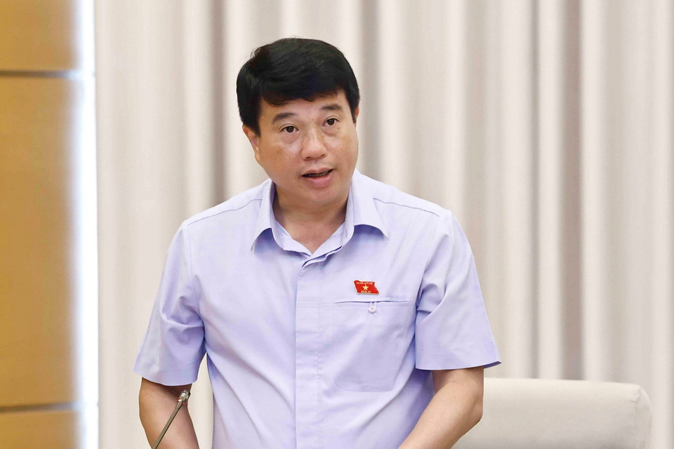 Chủ tịch Hội đồng Dân tộc của Quốc hội Y Thanh Hà Niê Kđăm phát biểu. (Ảnh: Doãn Tấn/TTXVN)