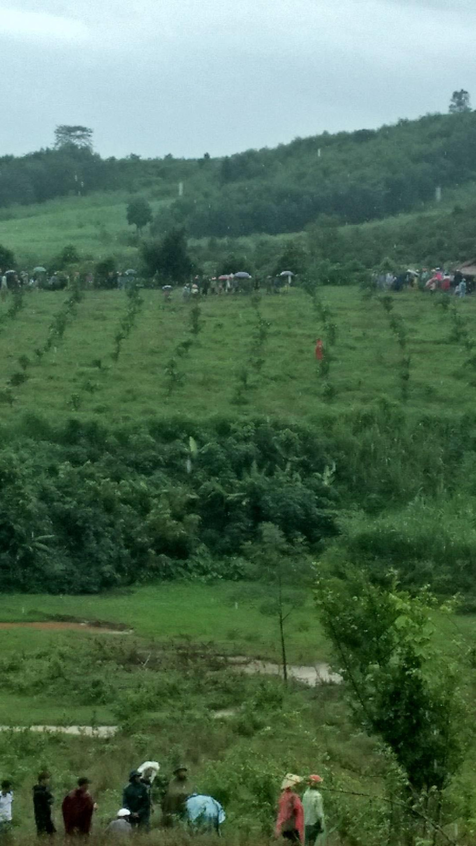 Máy bay quân sự này được cho là xuất phát từ sân bay Sao Vàng (huyện Thọ Xuân, tỉnh Thanh Hóa) và rơi tại làng Dừa, xã Nghĩa Yên, huyện Nghĩa Đàn, Nghệ An vào khoảng 12 giờ ngày 26/7. (Ảnh: Nguyễn Văn Nhật/Vietnam+)