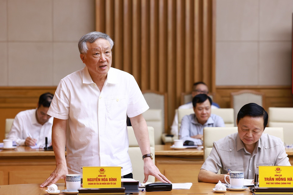 Chánh án Toà án Nhân dân Tối cao Nguyễn Hoà Bình phát biểu. (Ảnh: Dương Giang/TTXVN)