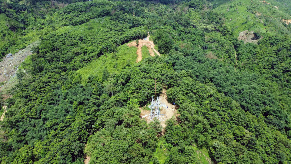 Vị trí cột 25 nằm giữa một rừng cây trên sườn núi của huyện Lục Yên (Yên Bái). (Ảnh: Huy Hùng/TTXVN)