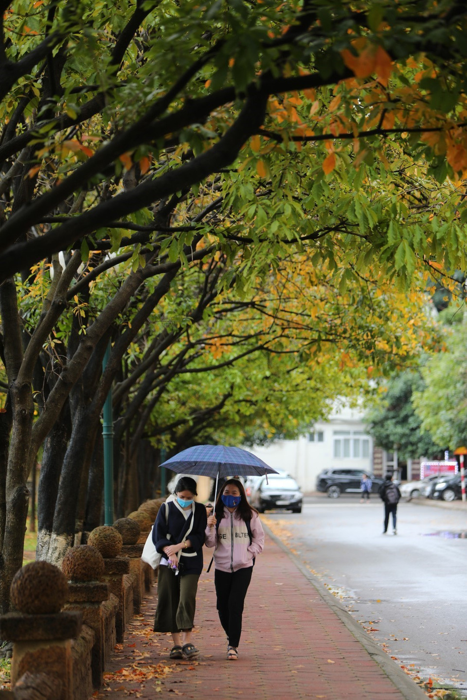 Các bạn sinh viên của trường ngày ngày đi học trên con đường tuyệt đẹp. (Ảnh: Thành Đạt/TTXVN)