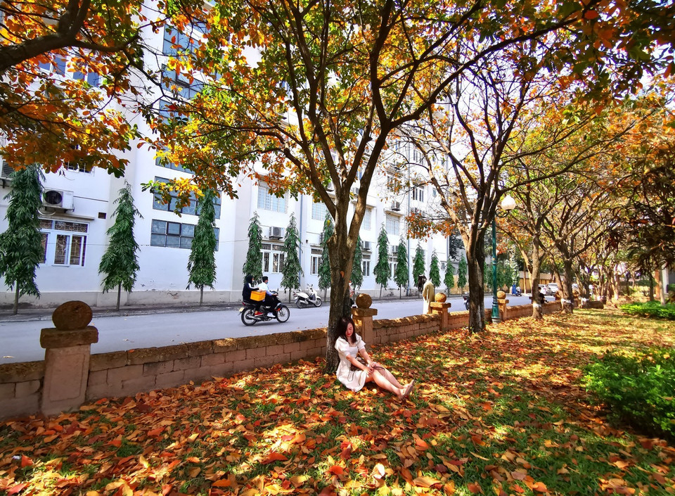 Các bạn trẻ tranh thủ ghi lại khoảng khắc lãng mạn ở con đường tình yêu. (Ảnh: Thành Đạt/TTXVN)