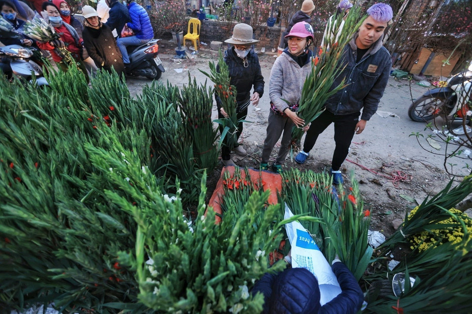 Chợ hoa Quảng An vừa là nơi tiêu thụ vừa là điểm đến mua hoa quen thuộc của cả thương lái lẫn người dân đặc biệt trong mỗi dịp lễ, tết. (Ảnh: Tuấn Anh/TTXVN)