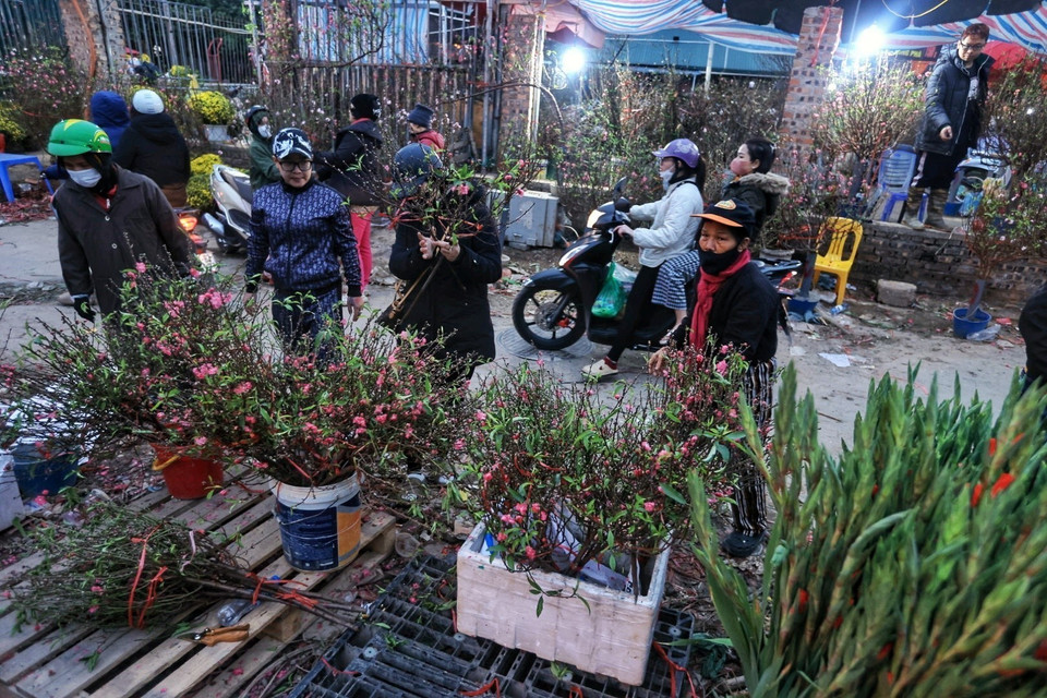 Các loại hoa được bày bán trong chợ lẫn ngoài đường trong ngày cuối năm. (Ảnh: Tuấn Anh/TTXVN)