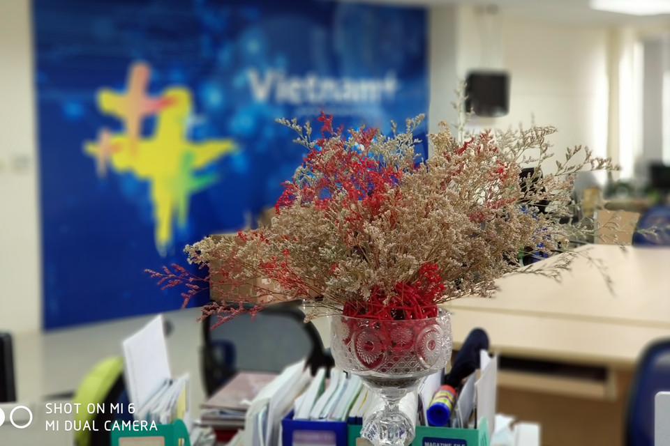 Một tấm ảnh xóa phông chụp bằng Mi 6.