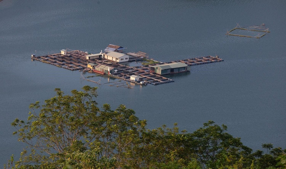 Những bè nuôi cá lồng nằm rải rác trên vùng hồ Hòa Bình mang lại những điểm xuyến cho không gian vốn đã đẹp lại càng thêm phần thơ mộng. (Ảnh: Trọng Đạt/TTXVN)