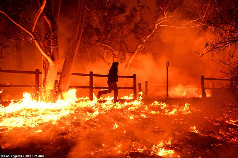 Một người dân chạy thẳng vào đám cháy lớn để cố cứu chú mèo của mình. (Nguồn: Los Angeles Times)