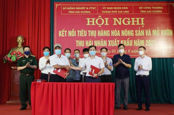 Các doanh nghiệp và đại diện hộ nông dân trồng nhãn ký kết biên bản ghi nhớ hợp tác tiêu thụ nhãn năm 2021. (Ảnh: Mạnh Minh/TTXVN)