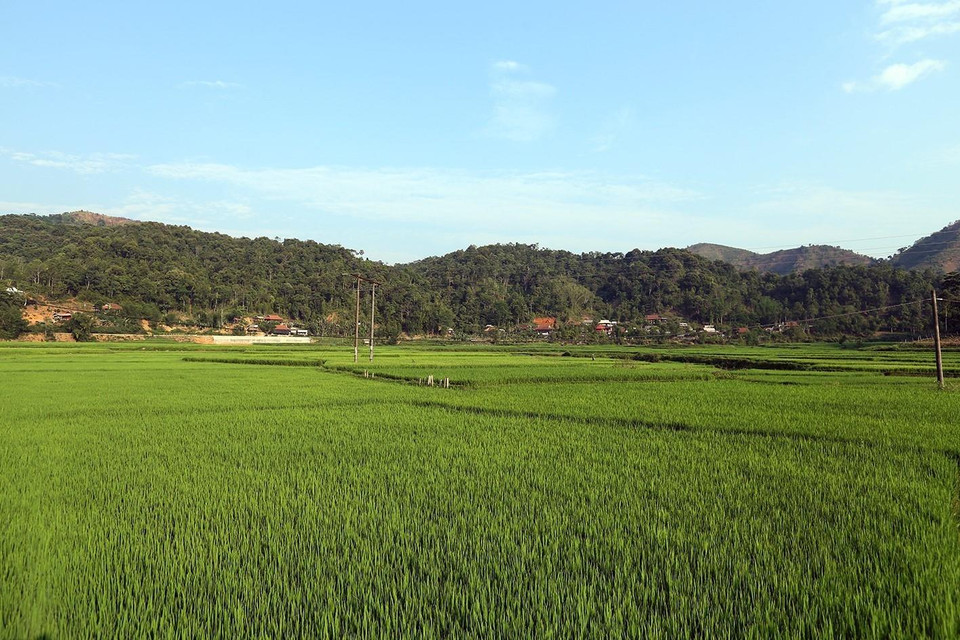 Những cánh đồng rộng lớn tại xã Nà Nhạn. (Ảnh: Phan Tuấn Anh/TTXVN)