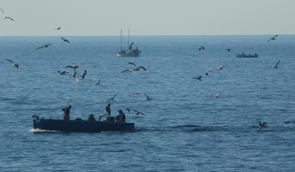 Từ pháo đài du khách có thể phóng tầm mắt quan sát phần lớn Biển Đen và chứng kiến cuộc sống nhộn nhịp của các ngư dân vùng biển này. (Ảnh: Trần Hiếu/TTXVN)