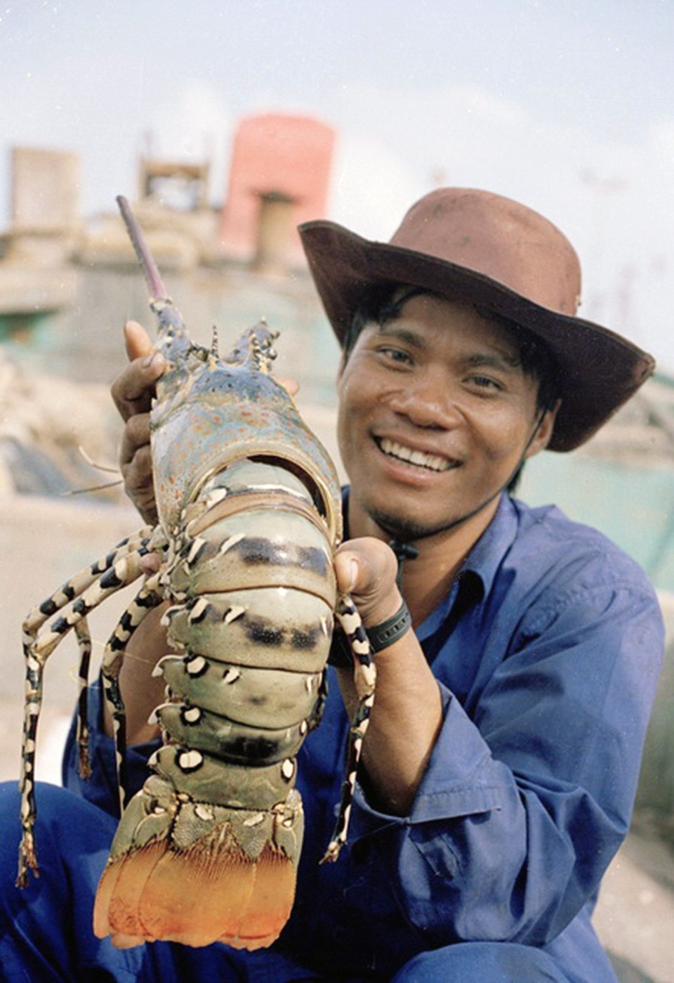 Là địa phương có đội tàu đánh bắt thủy, hải sản lớn, ngư trường rộng cho nên từ lâu, nghề khai thác, chế biến thủy, hải sản trở thành ngành kinh tế mũi nhọn của Bà Rịa-Vũng Tàu. Trong ảnh: Đánh bắt tôm hùm tại ngư trường Côn Đảo, tỉnh Bà Rịa-Vũng Tàu. (Ảnh: Tràng Dương/TTXVN)