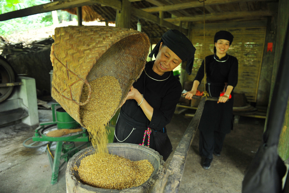 Cuộc sống thường ngày của bà con dân tộc Tày nơi đây vẫn nguyên vẹn với những bản sắc dân tộc truyền thống. (Ảnh: Minh Đức/TTXVN)