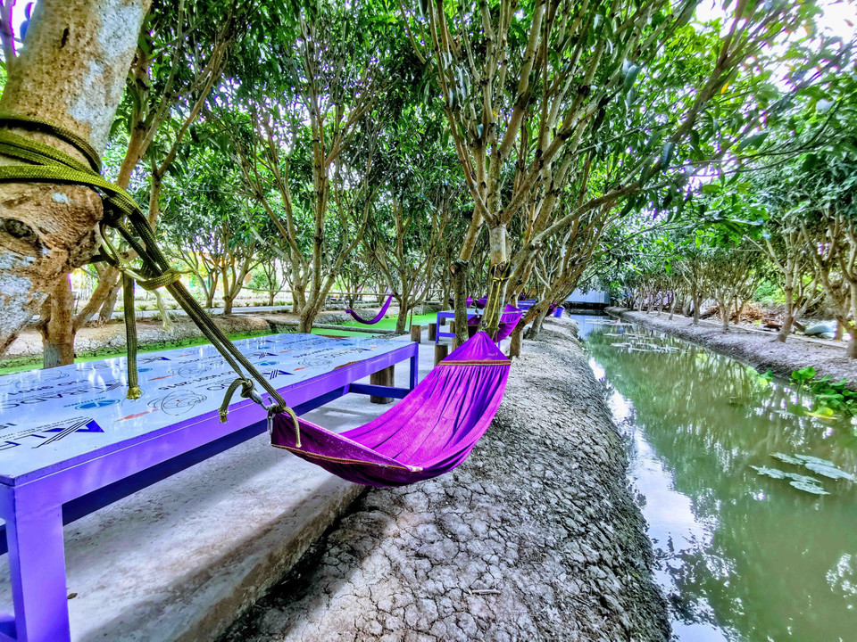 Những chiếc võng để du khách nghỉ ngơi cũng được chọn làm từ vật liệu nhuộm màu tím. (Ảnh: Thanh Liêm/TTXVN)